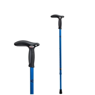 Walking Stick (cane Hf7-12)
