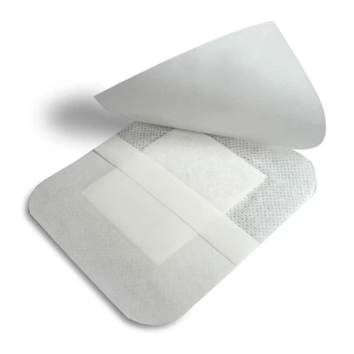 Waycare Adhesive Dressing Non Woven 10 X25cm 25's